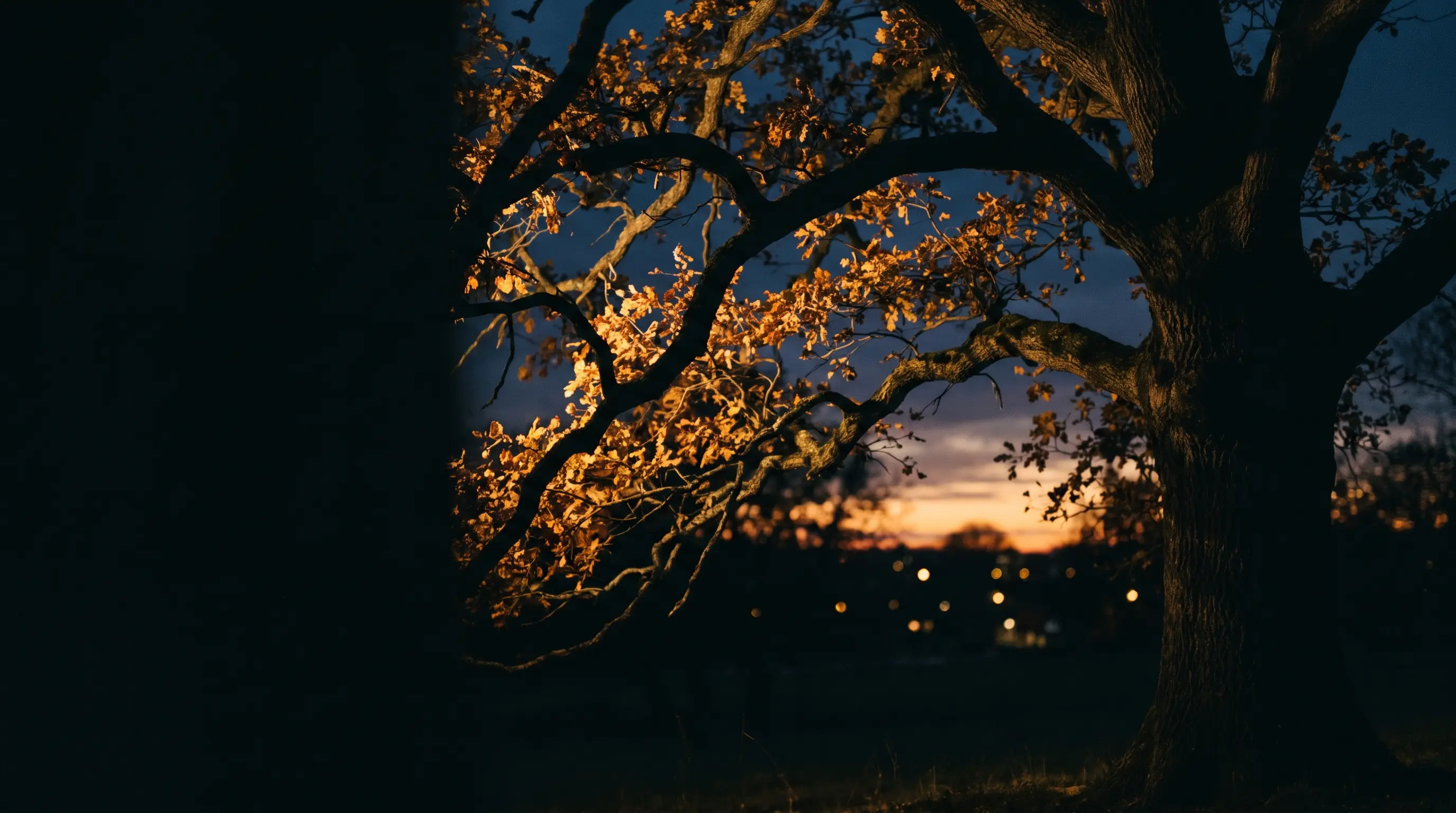 An ancient oak at dusk, its leaves lit gold — a family's living legacy, preserved for generations.